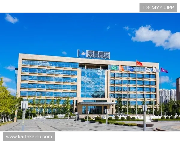 全面解析k8凯发国际入口的登录流程与常见问题解决方案